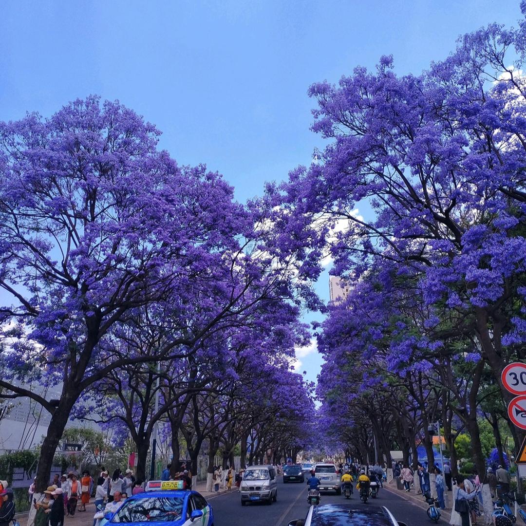 往事随风ヘ(_ _ヘ)