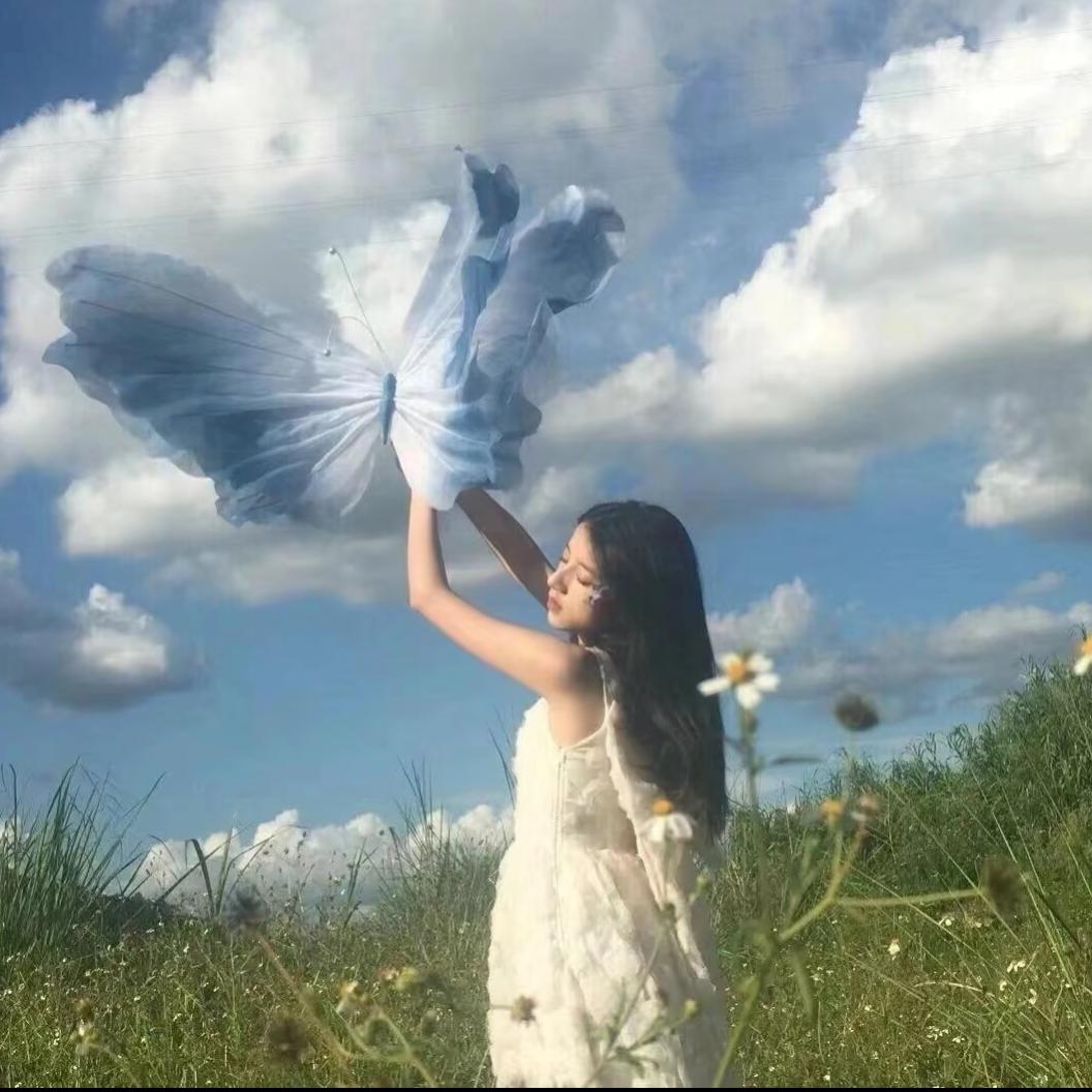 一颗小西柚