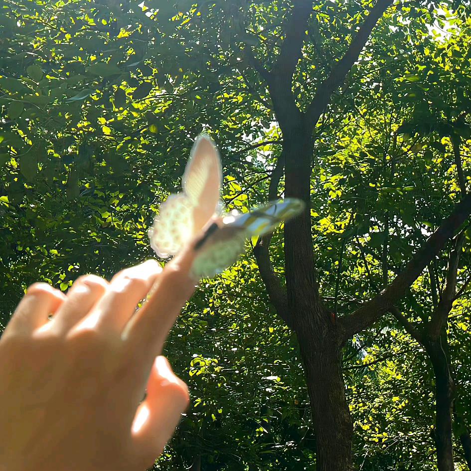 ✨