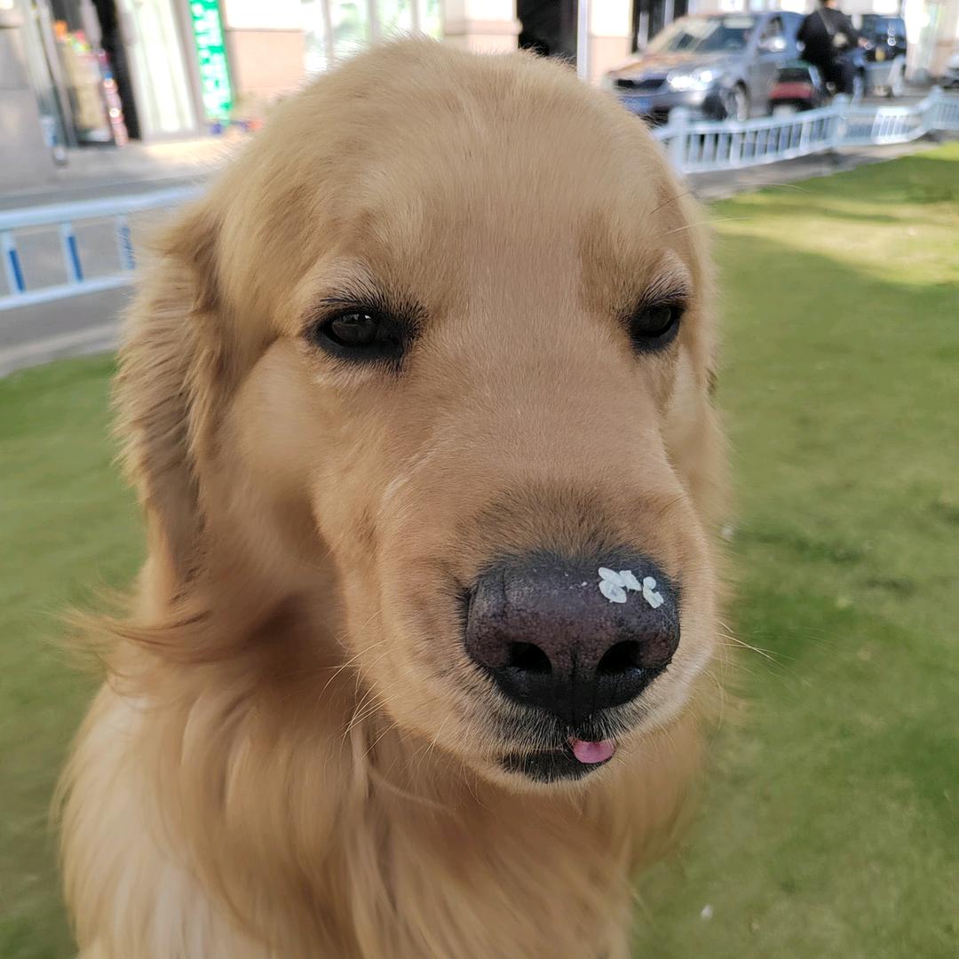 叉叉