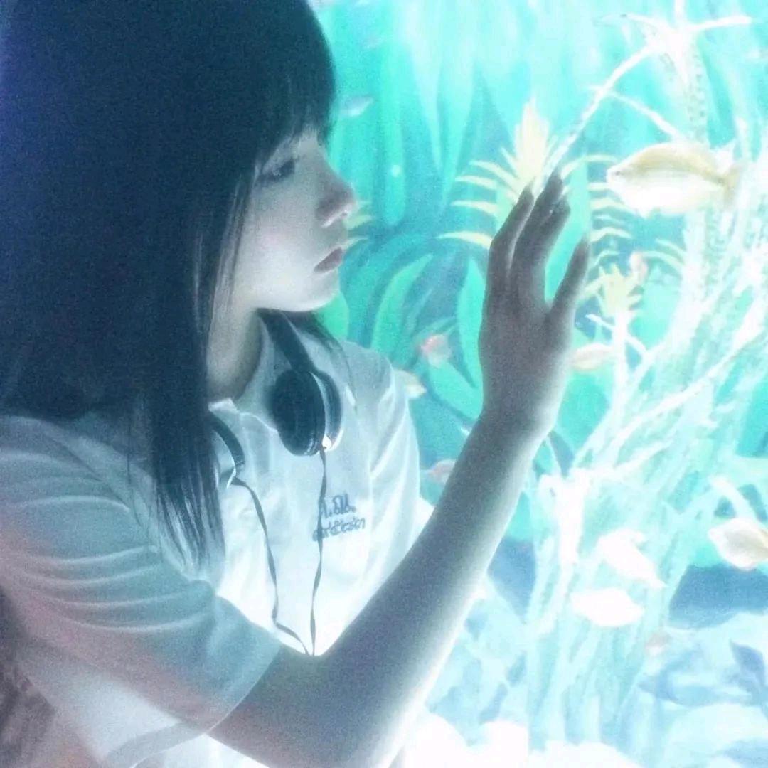 莲子果果