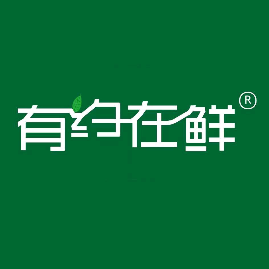 有约在鲜三鲜豆皮（赵欢)