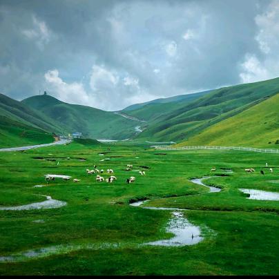 随风❄️⥎❄️而行