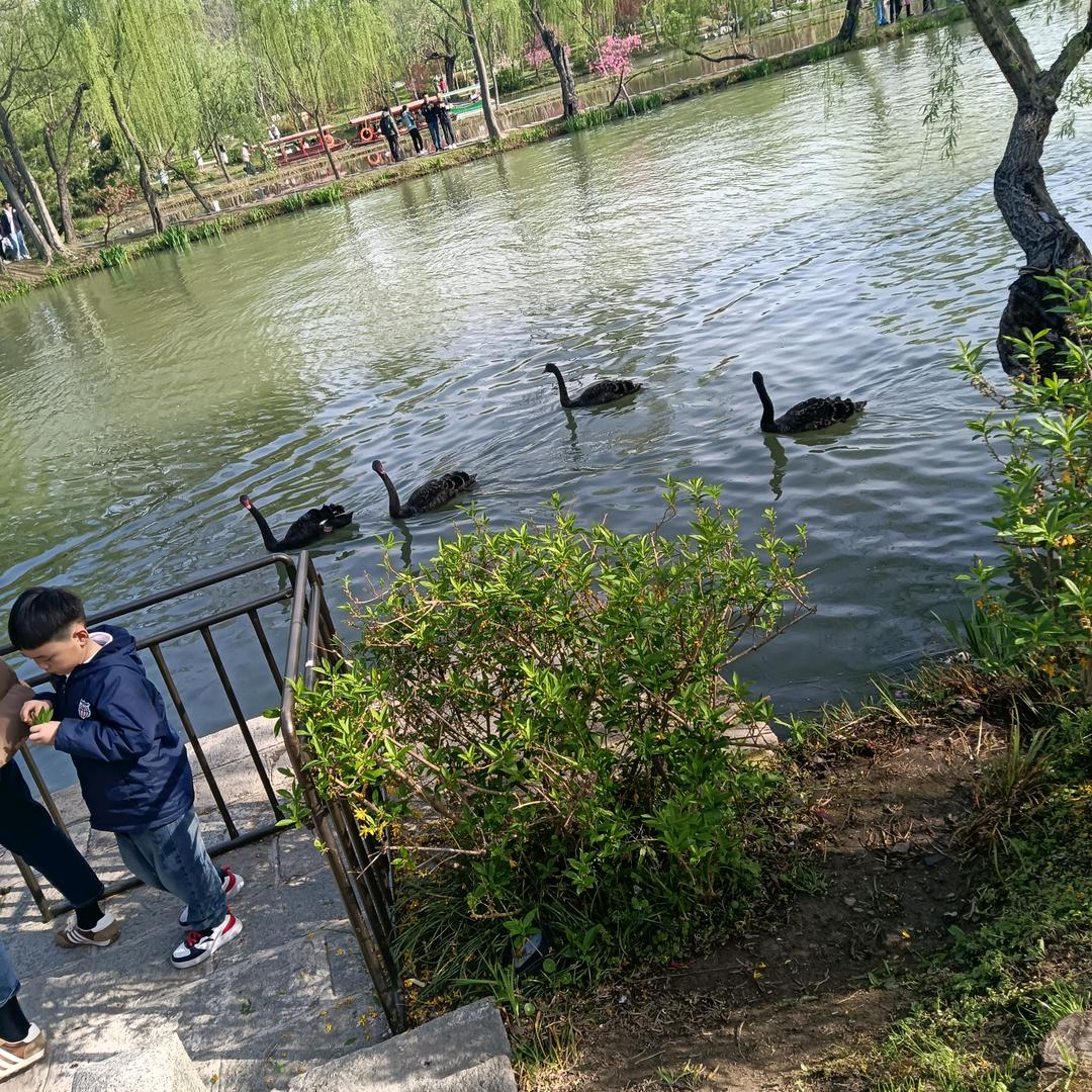 快乐