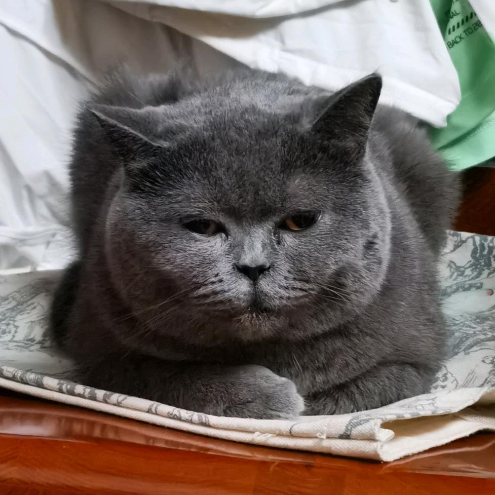 梅林