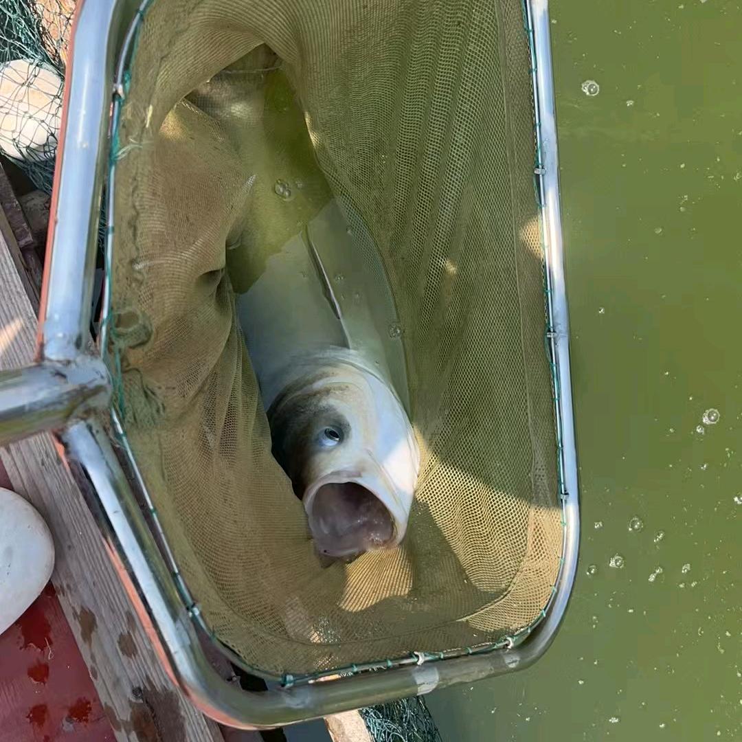 贝木拾光钓鱼人