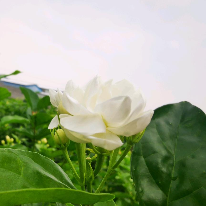 你我他