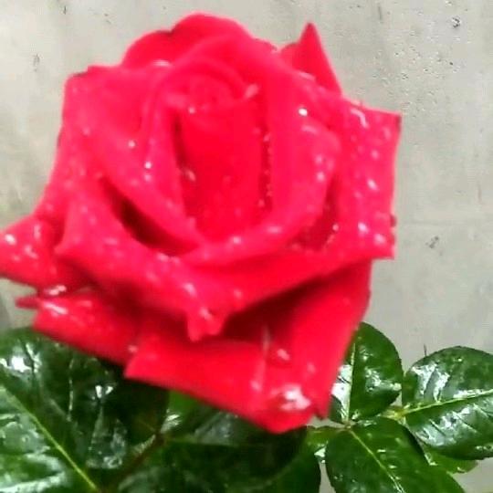 橱柜哥❤有0喜