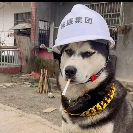 一脚踹飞防盗门
