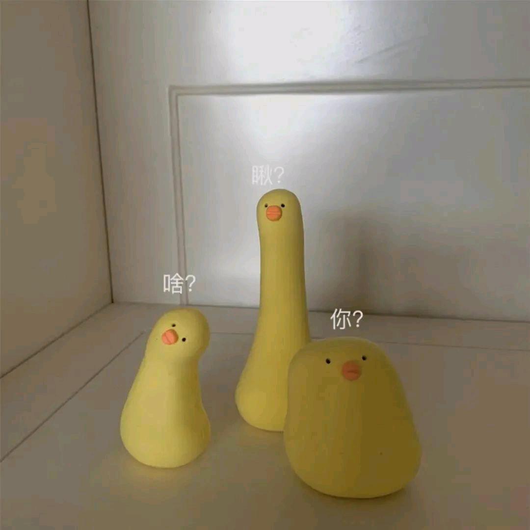 LRH（黑号版）