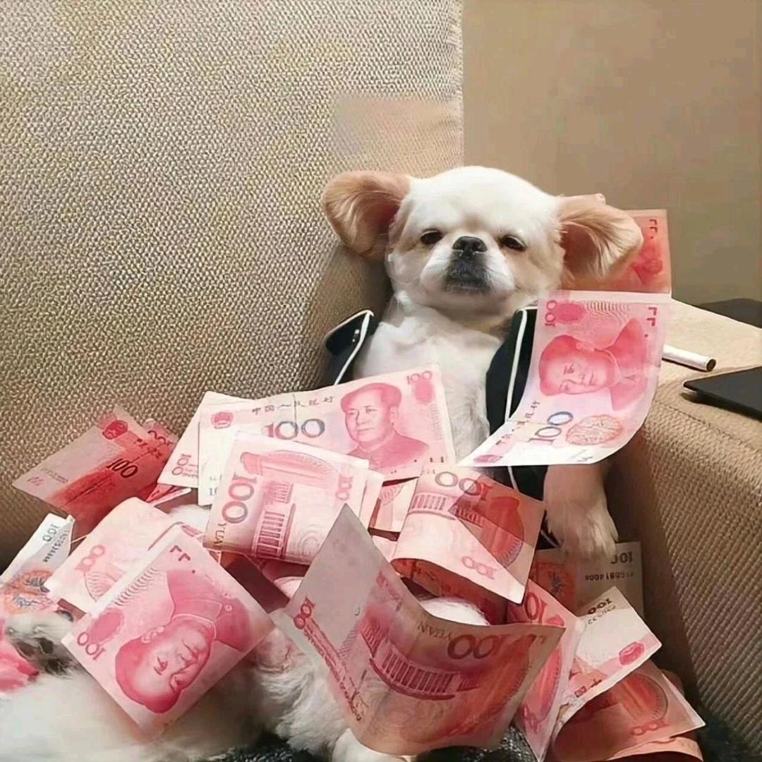 极光酒吧营销小颖