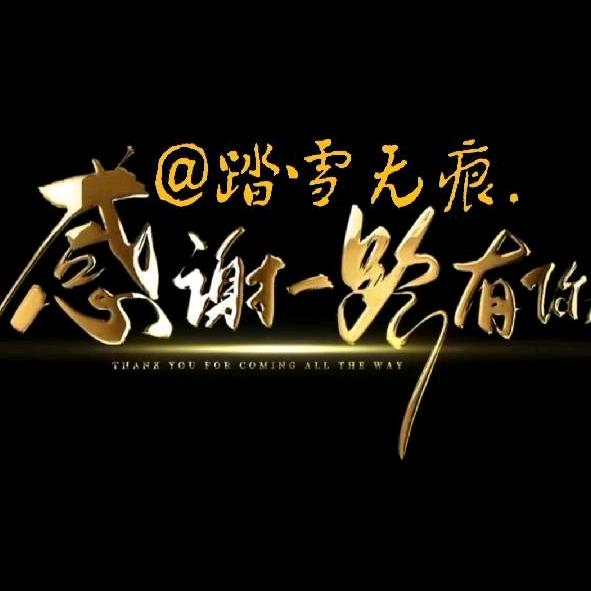 踏雪无痕.