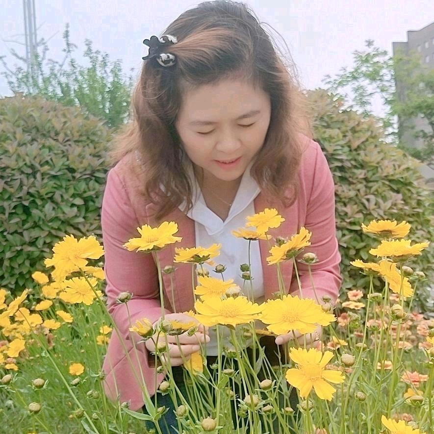 像雾像雨又像风