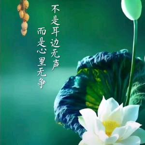 独一无二.娟