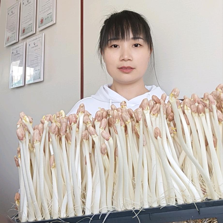 兰老师种植工厂