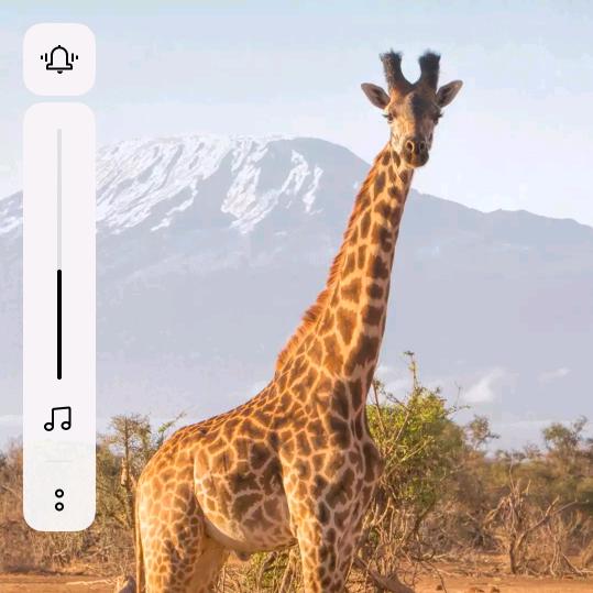 🐴🐴🐴🌿🌿🌿