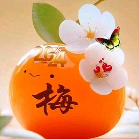 梅姐