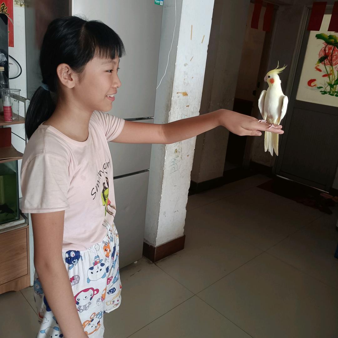 股上宏运