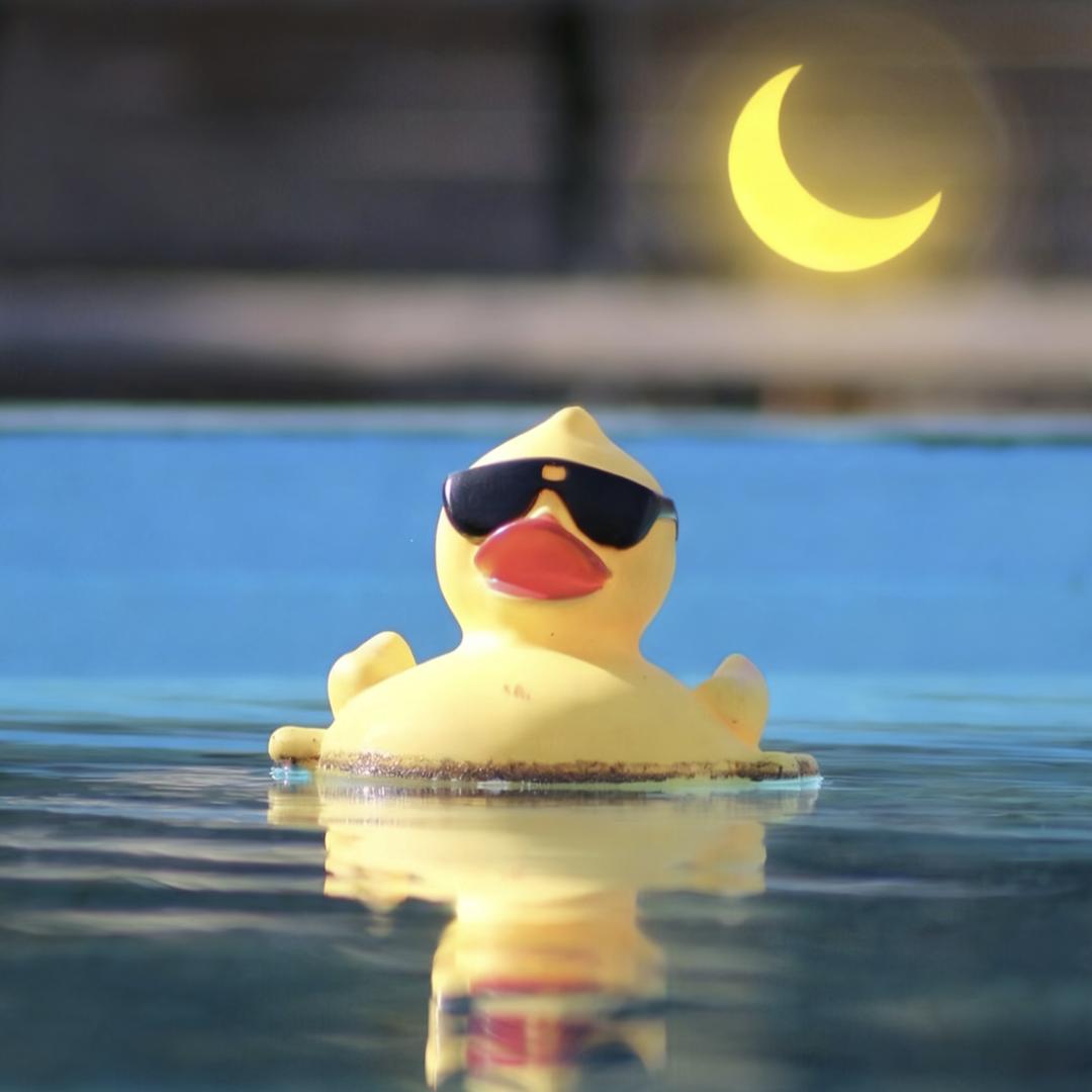 烛龍丶(小玥宝🌙)