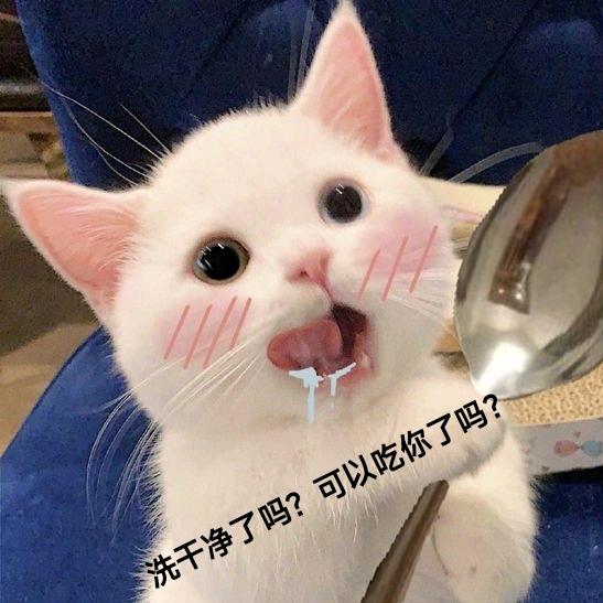 哇咔咔儿