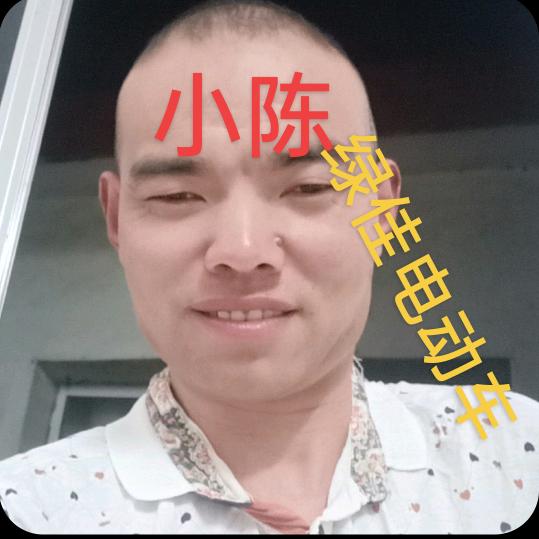 小陈绿佳电动车，更换电瓶、轮胎、补胎上门