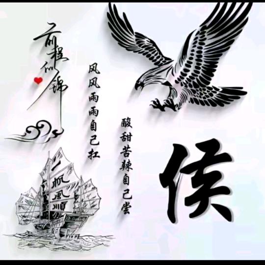 放飞梦想