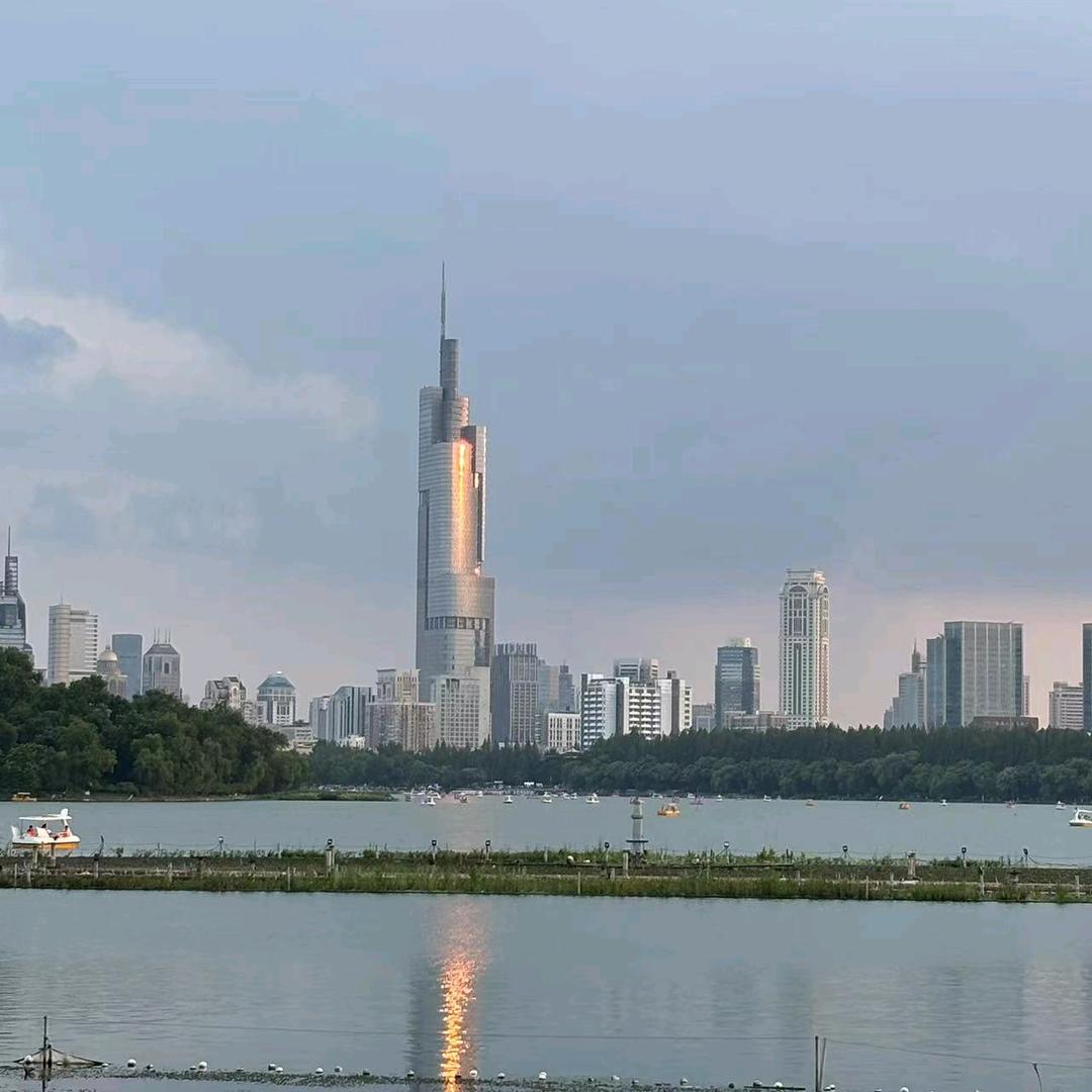 南京金R|助D|老刘