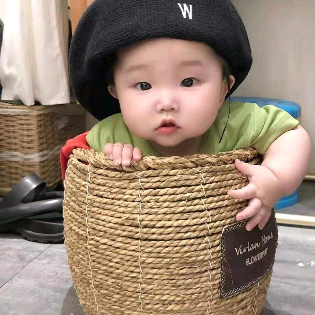 蝶梦莲影