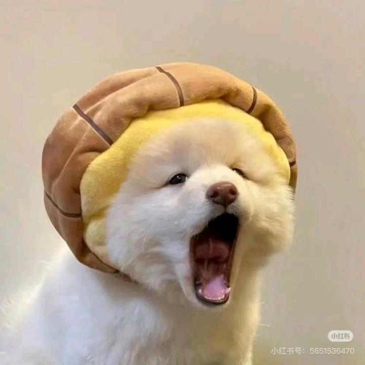 小笼包