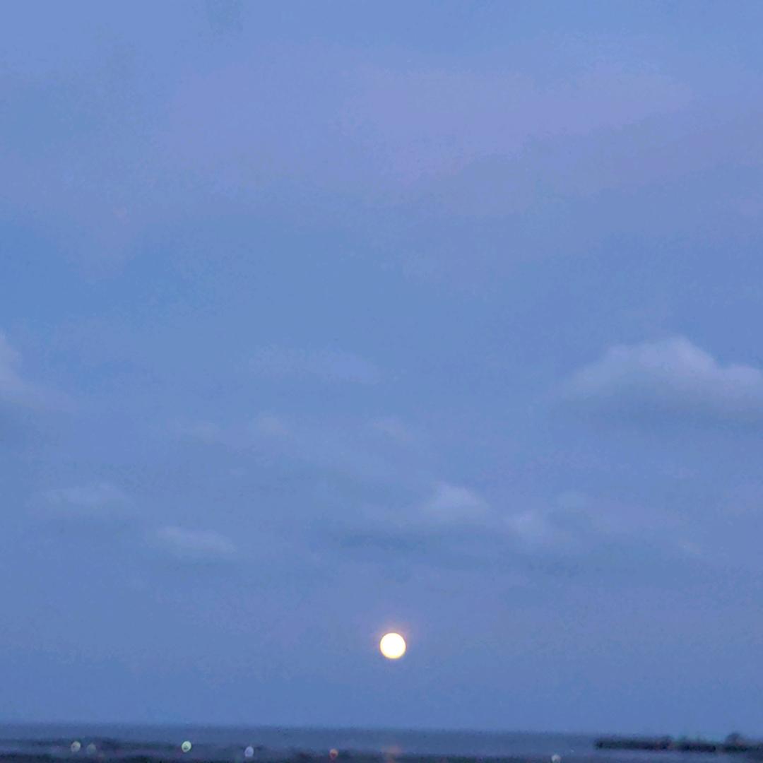 乳山日日晟张秋红