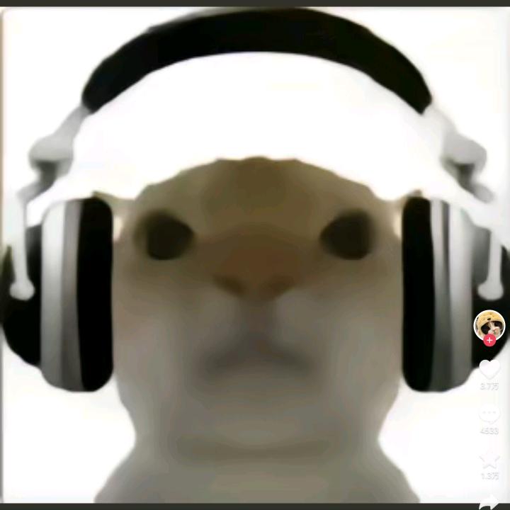 小老鼠