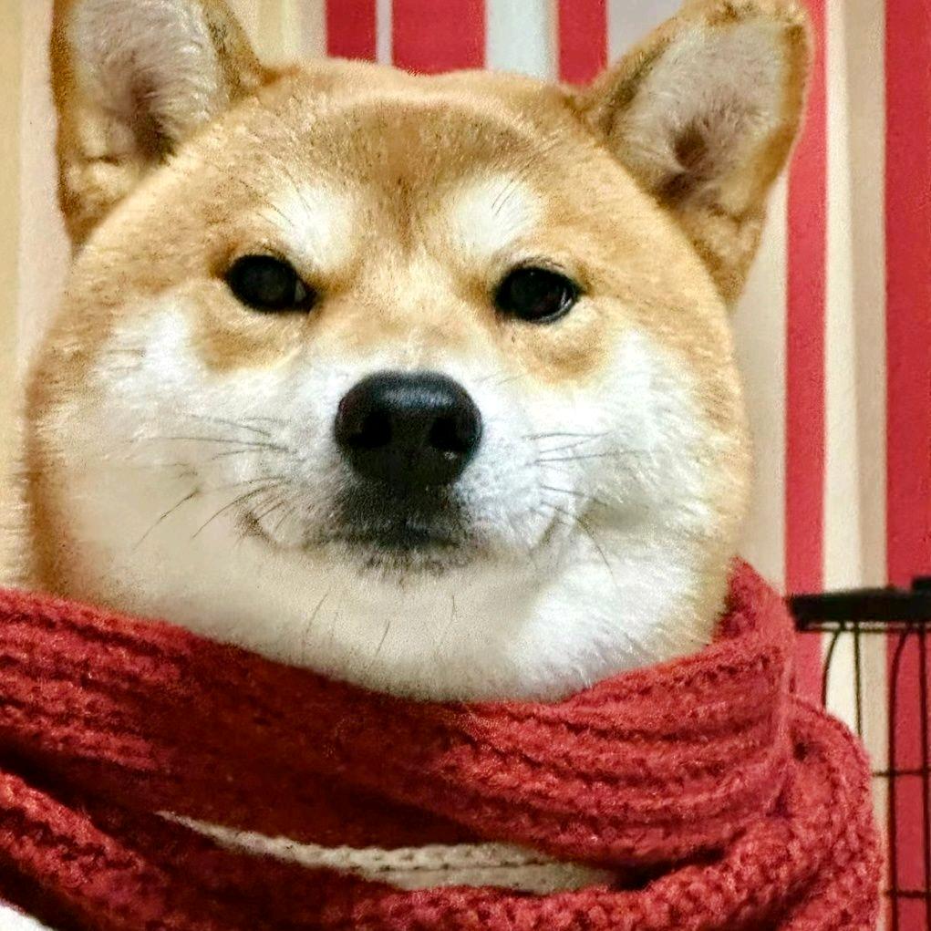 了不起的胖子