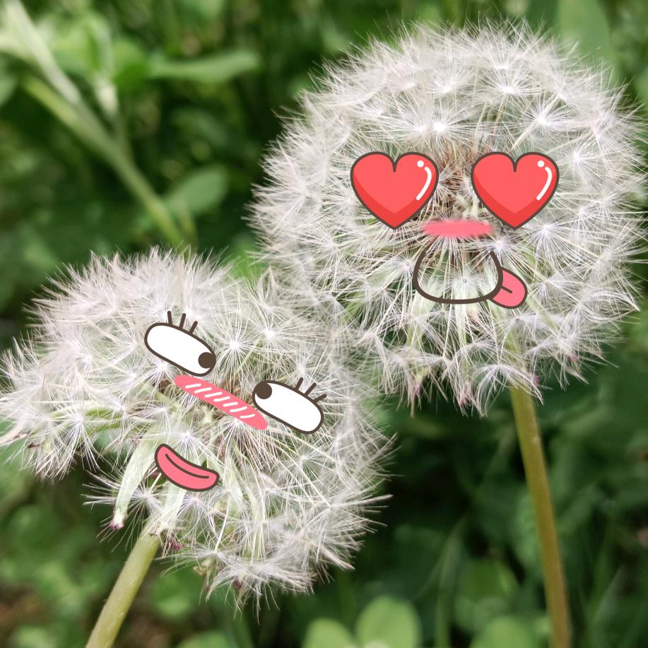 信了你的、邪