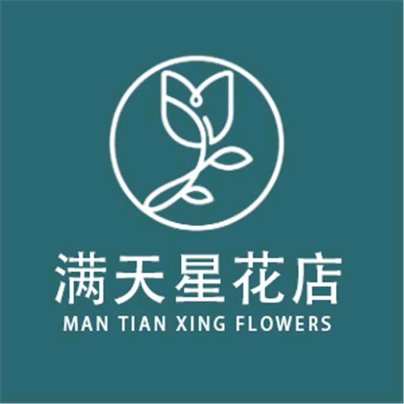 满天星花艺（海口海德丽景店）