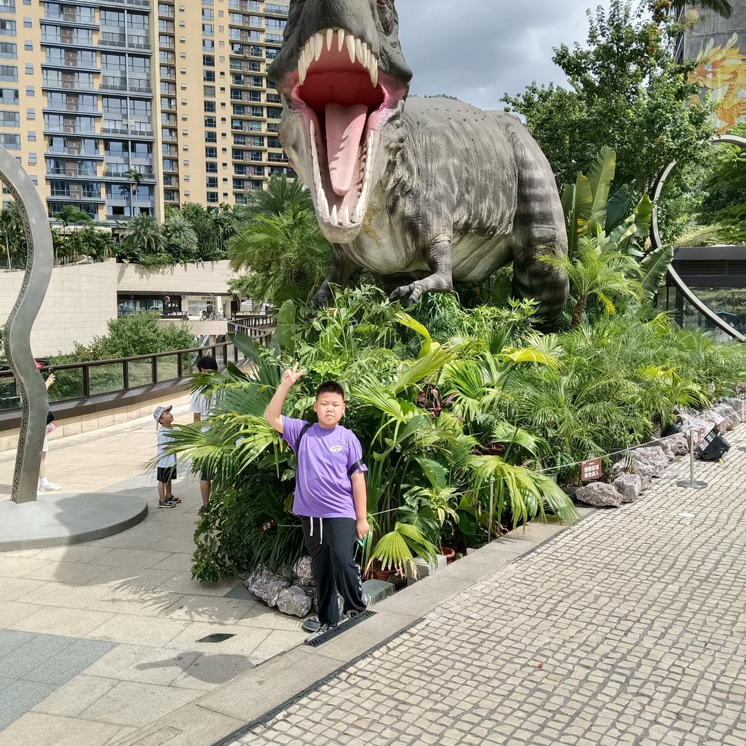 (༼ つ ◕‿◕ ༽つ琴