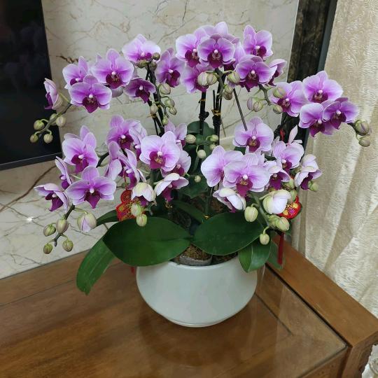 健康！平安！喜乐！