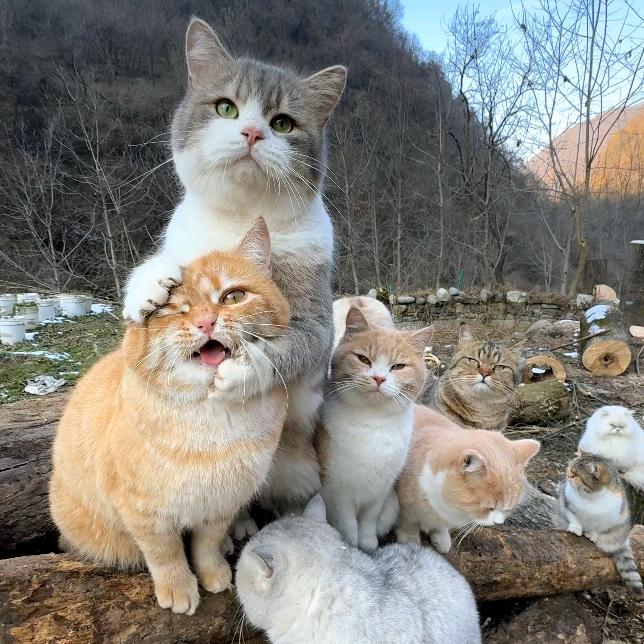 多可悲