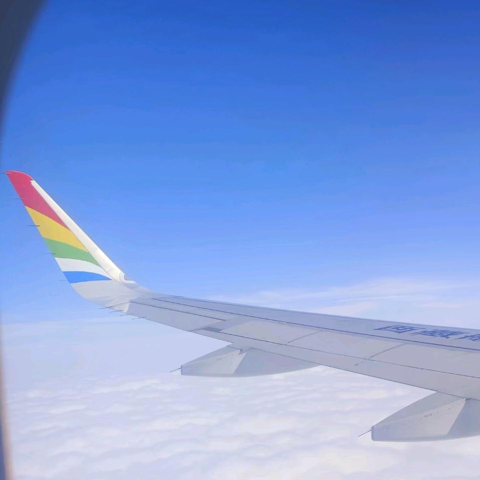 宣城高、中考志愿填报及升学咨询