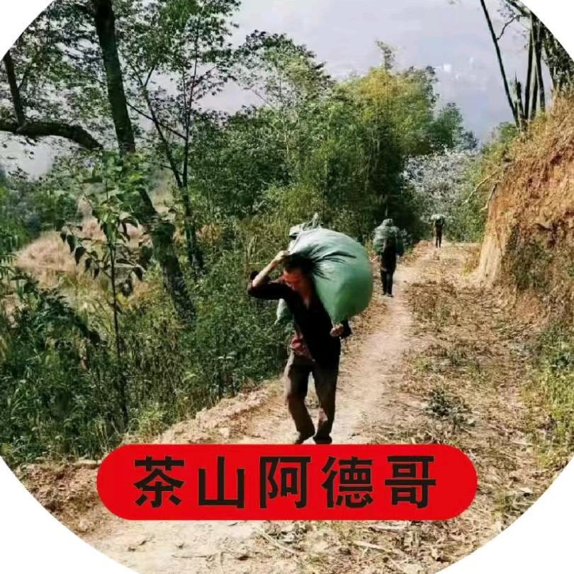 云南茶山阿德哥