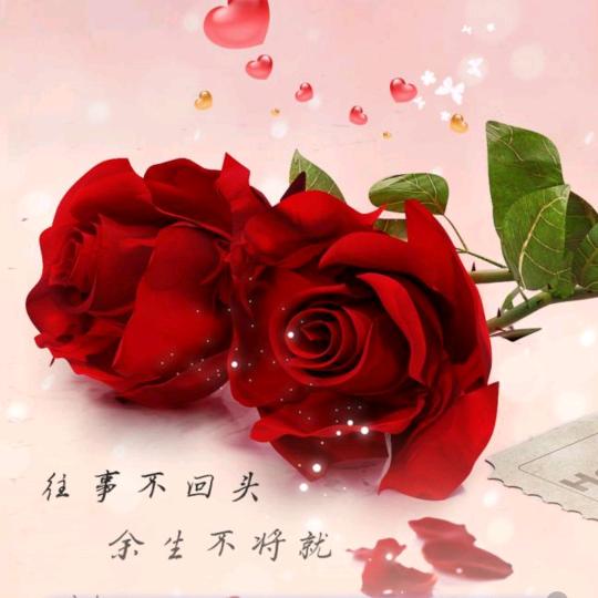 💐余生安好🌹
