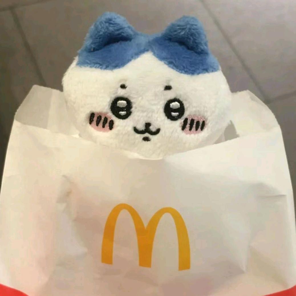 森森很酷