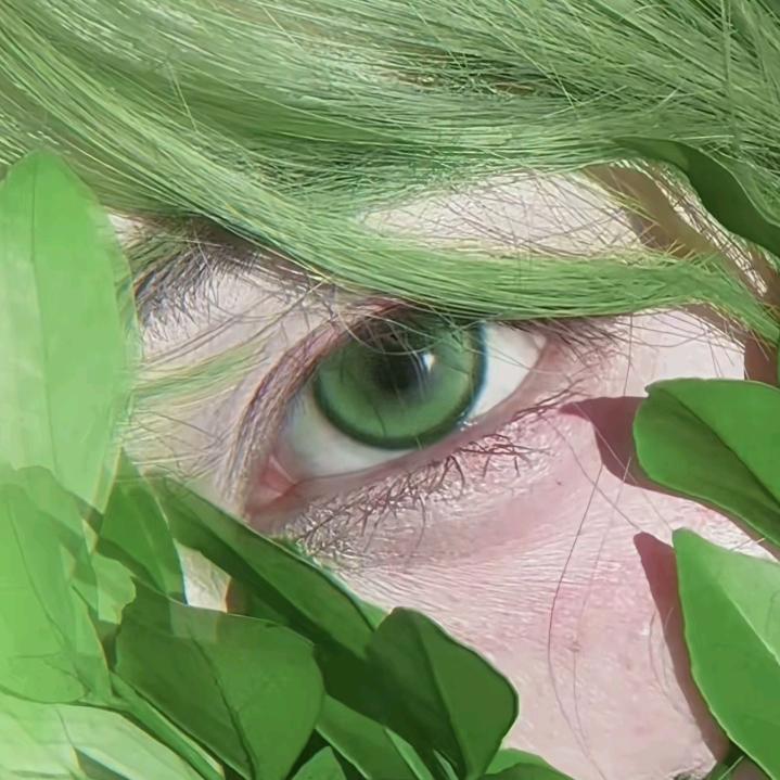 悠桔风