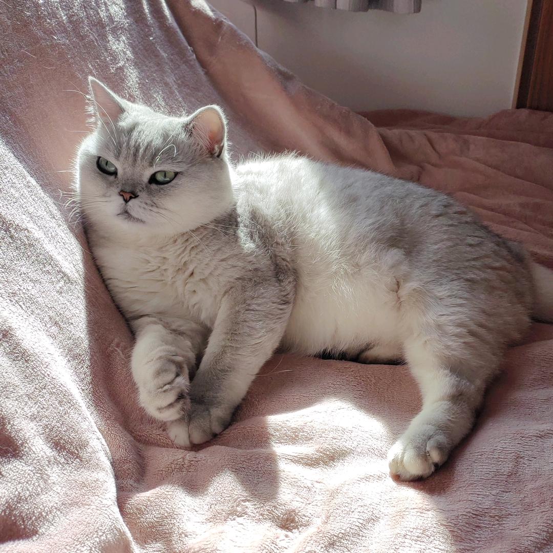 背着大刀的小宝