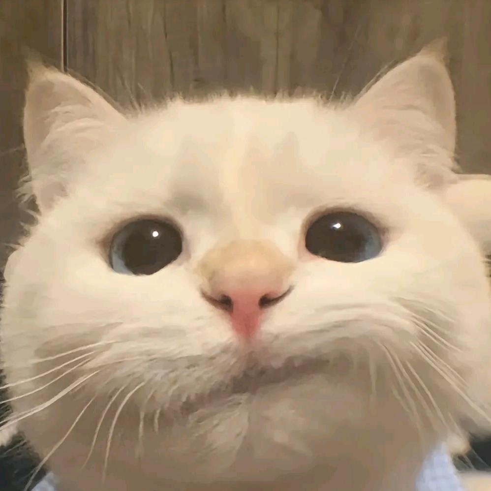 谢辞安