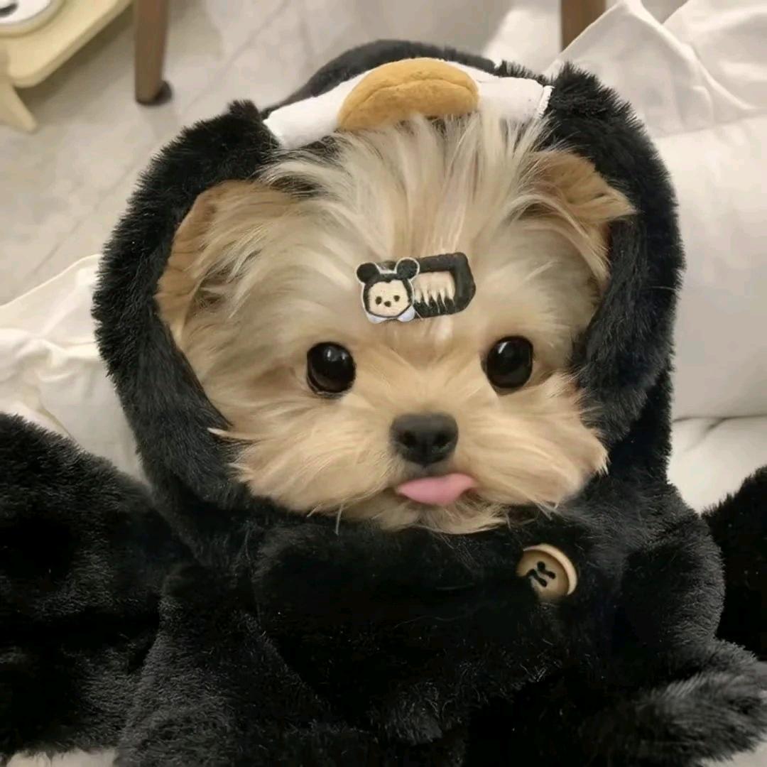 xxx白小江