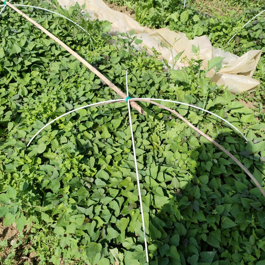 ✨💕ꦿ᭄余生有✨你༉ᩚ᭄