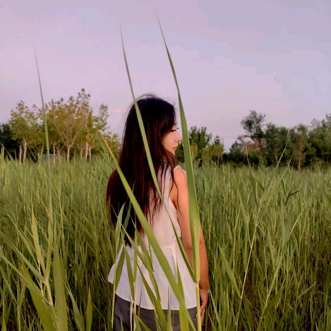 奋斗的女人  蕊蕊