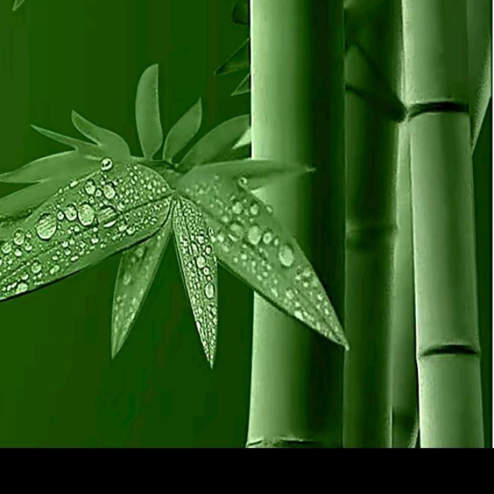 感恩今生遇见