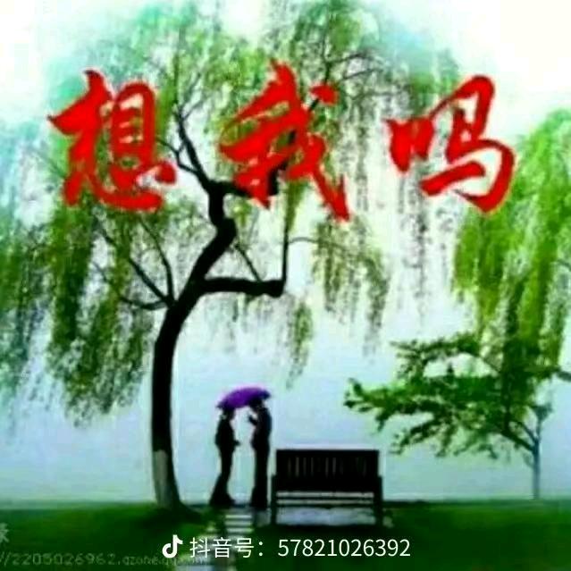 shanpinxuan