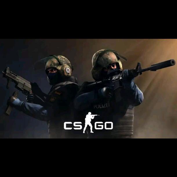 csgo无敌的大白菜